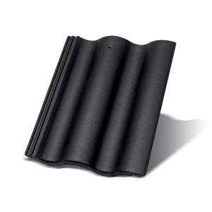 Synus – Čierna – Inova